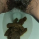 A very cute girl shits a long hanging log into the toilet from under ass late in the clip, with product in the bowl. Filmed from a between the legs perspective. Vertical format video. Over a minute.